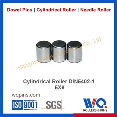 Cylindrical Roller Din5402-1