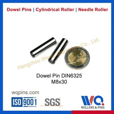 Bucket Tooth Pins